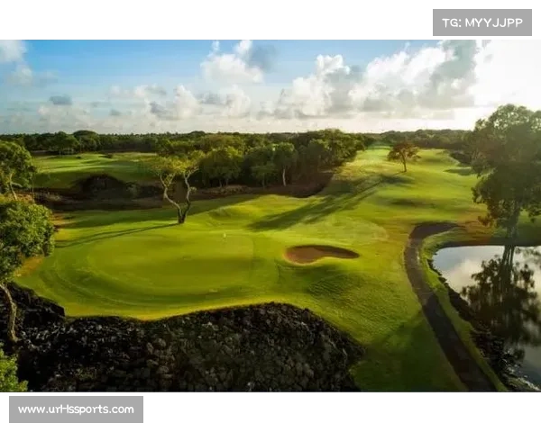 毛里求斯公开赛经济效应：旅游、赞助与非洲高尔夫市场崛起